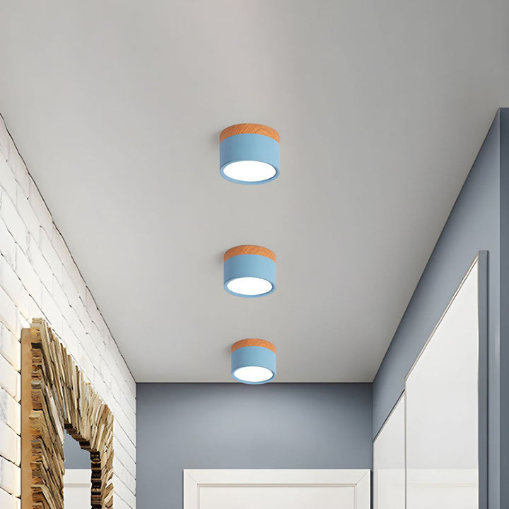 Aluminum Mini Cylinder Ceiling Light