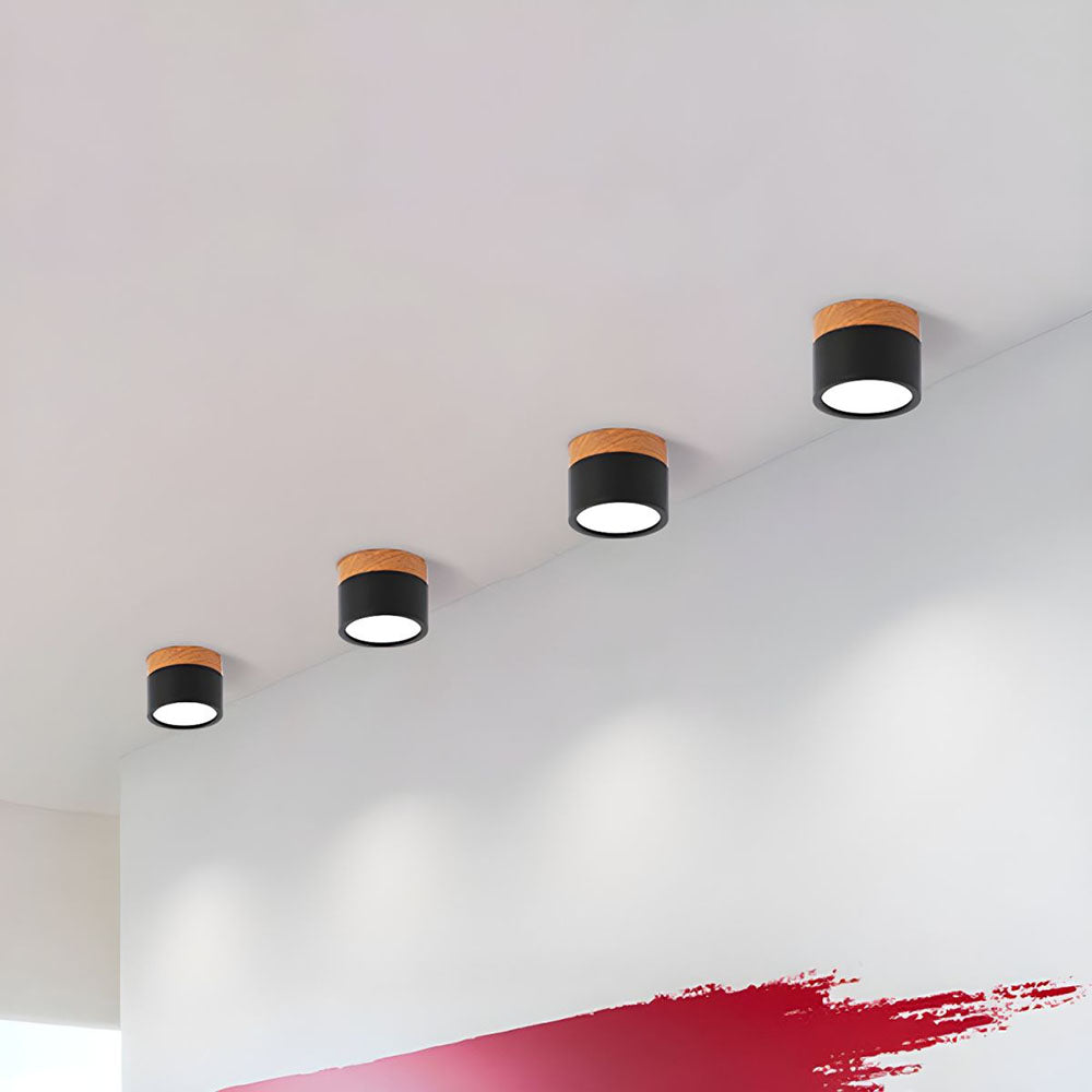 Aluminum Mini Cylinder Ceiling Light