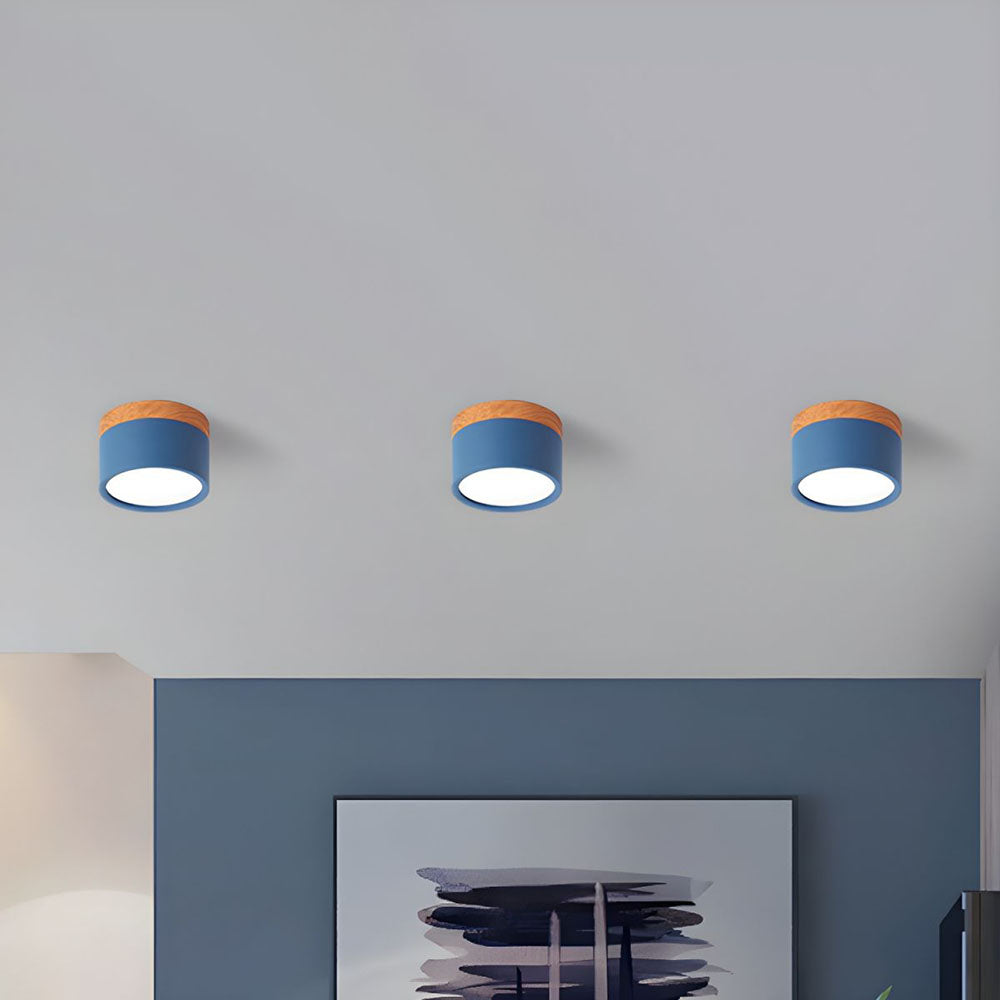 Aluminum Mini Cylinder Ceiling Light