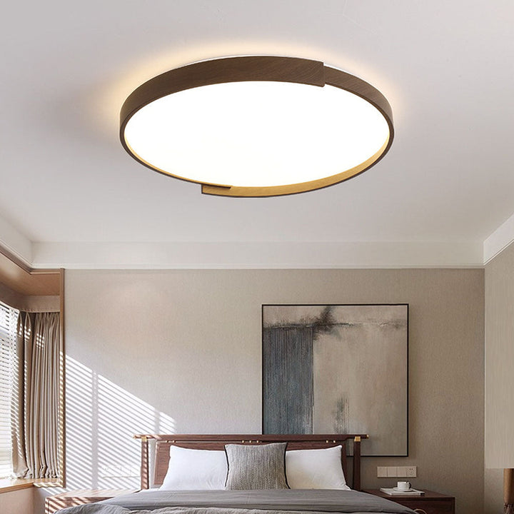 Brown Flush Mount LED Modern Ceiling Light