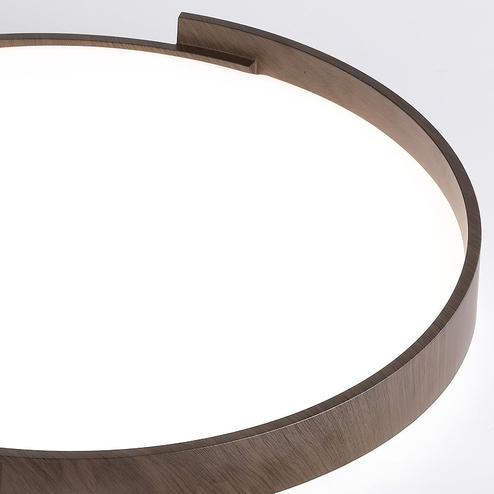 Brown Flush Mount LED Modern Ceiling Light