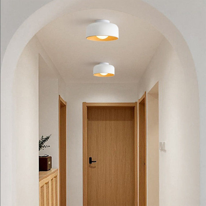 Minimalist Bowl Shaped Metal Ceiling Light